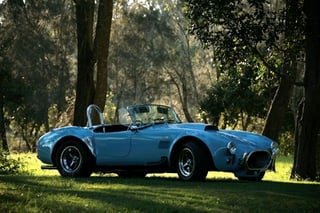 Robnell Cobra Replica