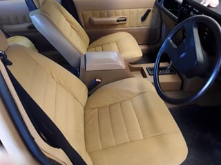 1982 Ford ZJ Fairlane 351 V8