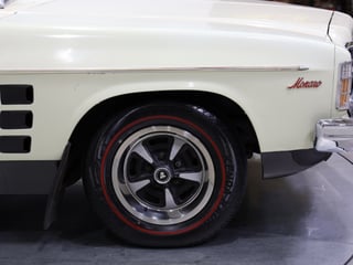 1975 Holden HJ GTS Monaro 2-Door Coupe - Chamois Unrestored Survivor 