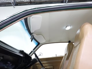 1977 Chrysler Valiant CL Charger 770 - Poison Ivy Metallic