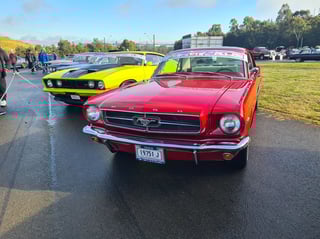2022 All Ford Day - Eastern Creek, Sydney
