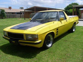 1981 WB Holden Ute