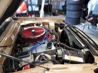 1982 Ford ZJ Fairlane 351 V8