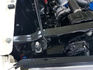 1966 Mustang Shelby GT350 Tribute