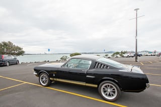 1965 Mustang Fastback Shelby GT350H Tribute