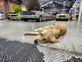 AMCS Showroom Tour - 1st March 2024