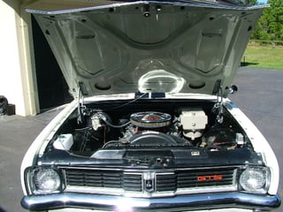 HT GTS Monaro 350