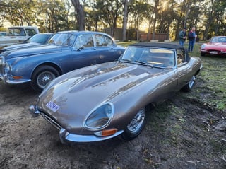 2024 All Holden Day and Coffee and Cars St Ives - A Massive Car Lover's Day!