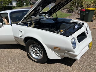 1976 Pontiac Firebird Trans Am 455 HO 4 speed manual