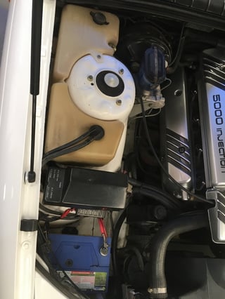 1991 HSV VP Clubsport Build