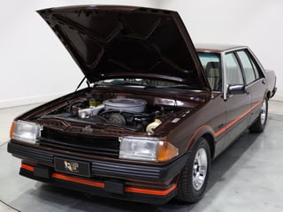 1982 Ford XE Falcon S-Pack 5.8L 4spd - Satellite Brown Metallic
