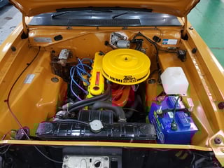 VG Valiant E31 Track Pack Pacer