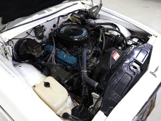 1982 Holden WB Statesman Caprice - Alabaster White