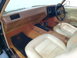 1973 HQ GTS Monaro Coupe 350 4 Speed - Warrigal Black