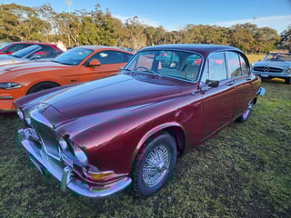 2024 All Holden Day and Coffee and Cars St Ives - A Massive Car Lover's Day!