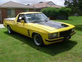 1981 WB Holden Ute