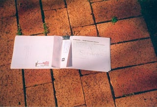 1984 WB Statesman Deville