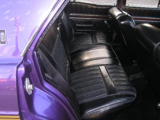 Wild Violet XY GS Fairmont