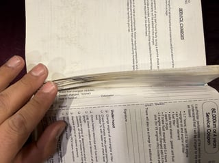 1996 HSV VS Grange 185i Build No 19 - Cherry Black Mica