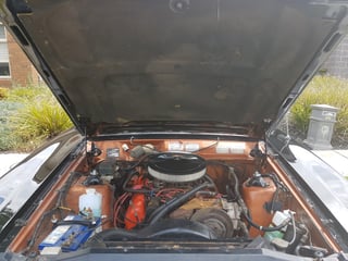1977 ZH Fairlane Marquis 302 V8