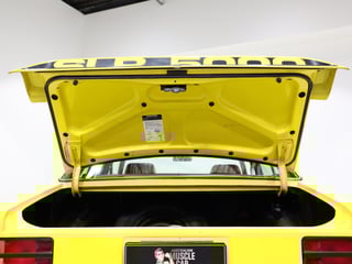 1977 Holden LX Torana SLR 5000 - Absinth Yellow  Survivor 