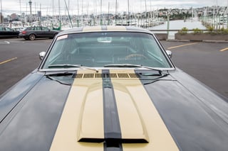 1965 Mustang Fastback Shelby GT350H Tribute