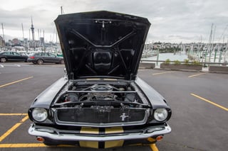 1965 Mustang Fastback Shelby GT350H Tribute