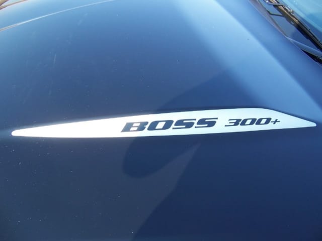 2004 BA PURSUIT UTE - Image 14211