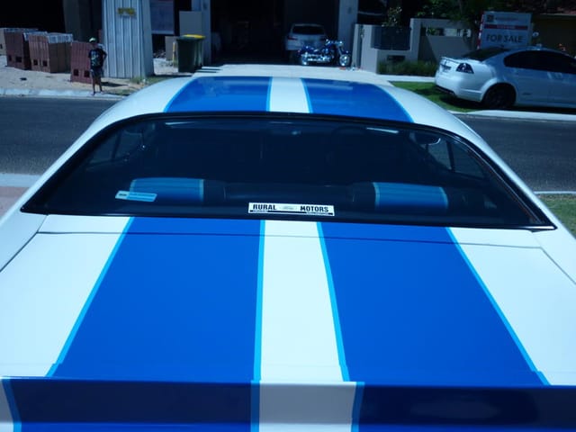 XC Falcon Cobra #166 - Image 34625