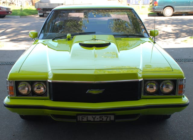 HQ GTS Ute - Image 36442