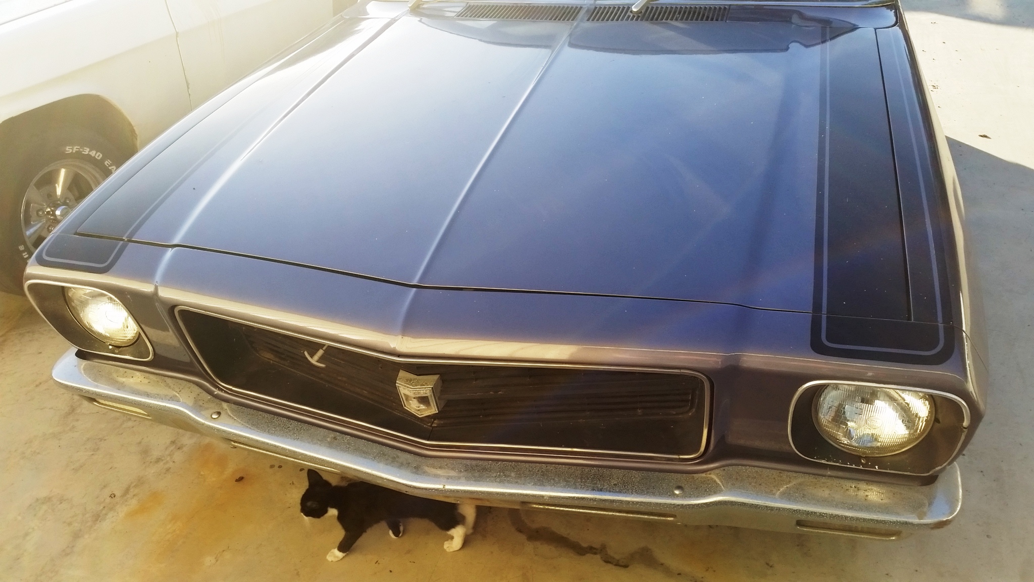 1972 HQ Holden SS - Image 53483