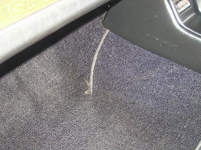 Falcon GTHO Ph 2 - Image 4321