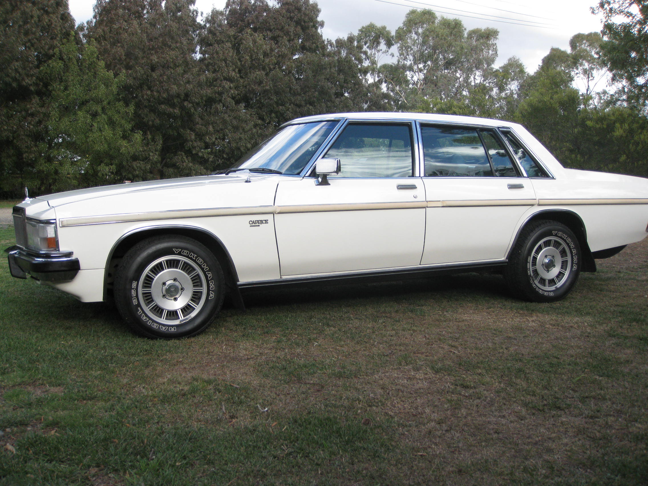 WB Statesman Caprice - Image 46867