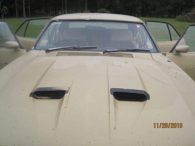 XC Falcon GS 302 V8 - Image 34105