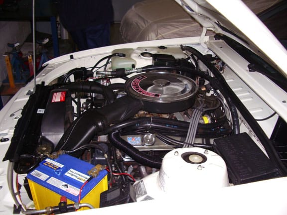 VK SS Group 3 Brock Commodore - Image 6510