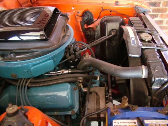 XY GTHO Phase 3 - Image 5504