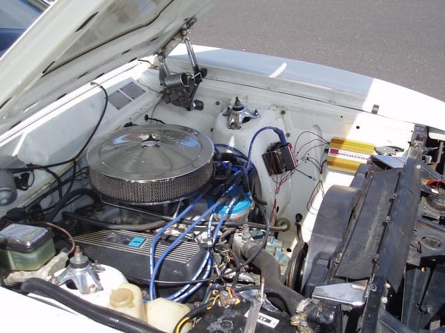 XC GS / Cobra Replica - Image 2119