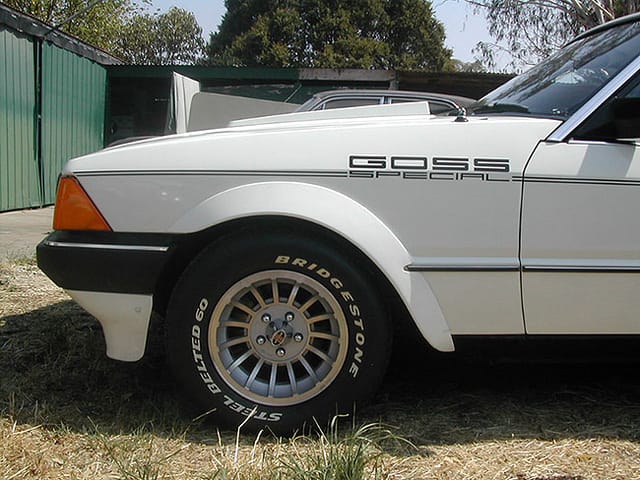 XD Falcon John Goss Special - Image 11698