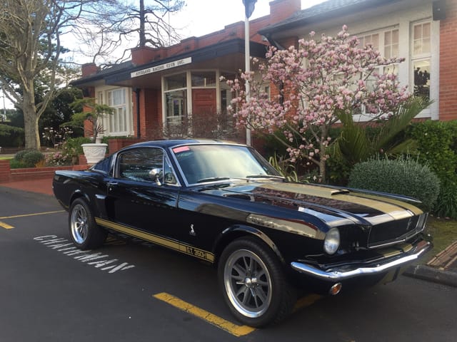 1965 Mustang Fastback Shelby GT350H Tribute - Image 73295