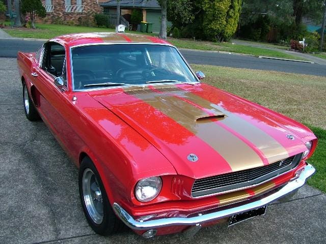1966 Shelby GT 350H - Image 7723