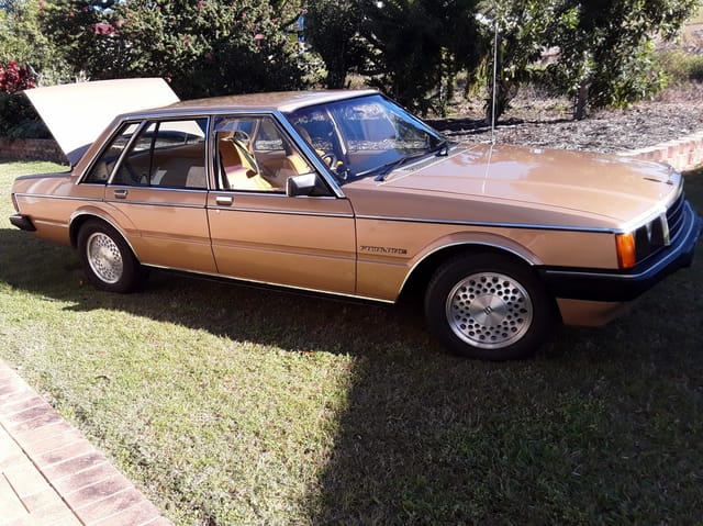 1982 Ford ZJ Fairlane 351 V8 - Image 72550