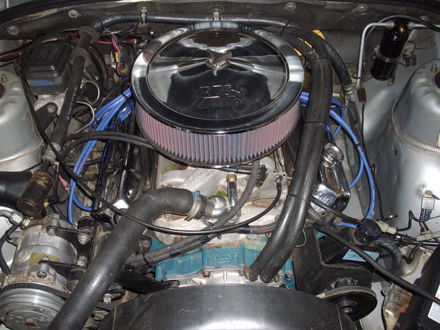 VH Commodore SLE 5.0L - T30 Dealer car - Image 22704