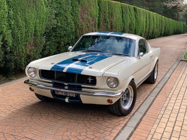 1965 Shelby Mustang GT350 Tribute - Image 83049