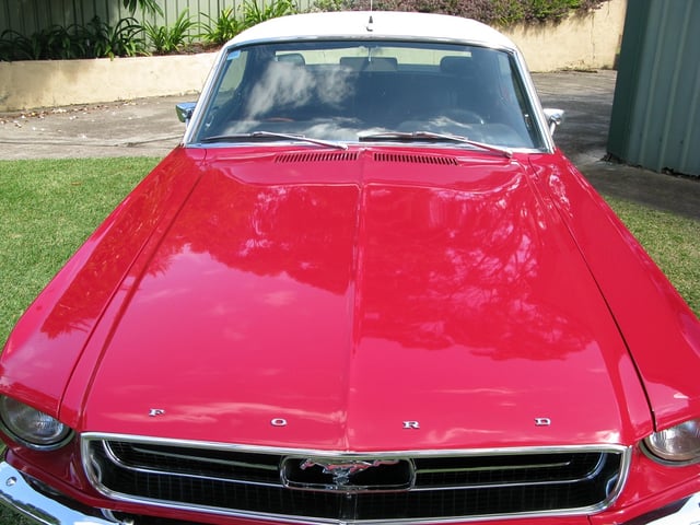 Mustang Coupe - Image 30184