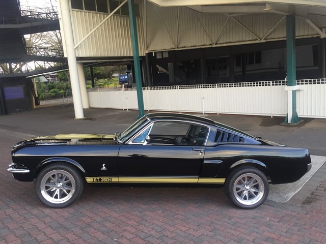 1965 Mustang Fastback Shelby GT350H Tribute - Image 73291