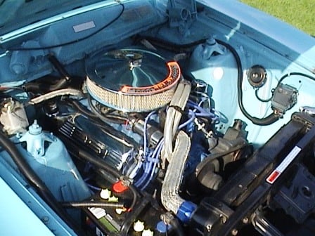 Falcon XB GS 351 - Image 1260