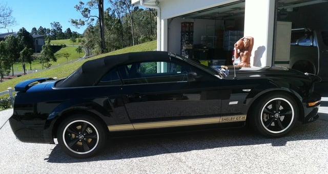 2007 Shelby Mustang GT-H Convertible - Image 44761