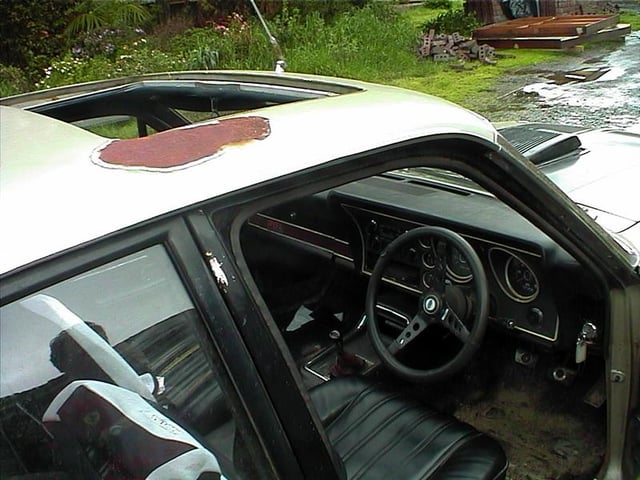 XY GS Falcon - Image 2337