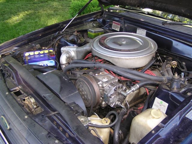 XD Fairmont Ghia - Image 8890