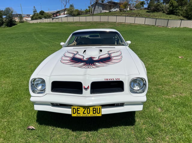 1976 Pontiac Firebird Trans Am 455 HO 4 speed manual - Image 181139